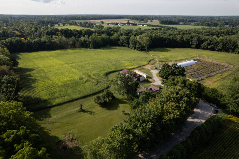Picture Perfect 50 Acre farm, located at the end of a dead-end road in Rural Norfolk.