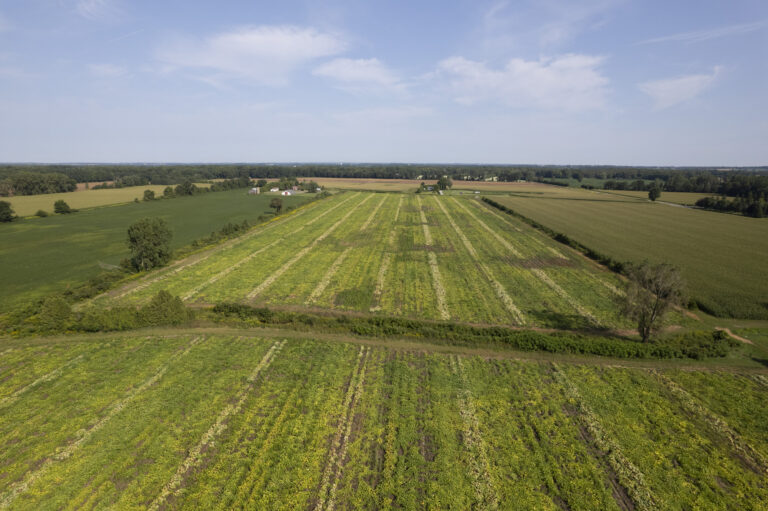 25 acres of productive sandy-loam soil in Norfolk on a quiet paved road.