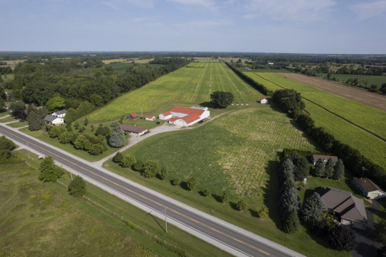 Beautiful and well maintained 75.86 Acre farm located on Hwy 3 between Delhi and Courtland.